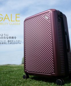 アジア・ラゲージ 最大51% 9/27限定 アジアラゲージ スーツケース Mサイズ 68L 軽量 拡張 中型 ブランド ガーレ A.L.I GALE ALI-6020-24W キャリーケース 在庫限り